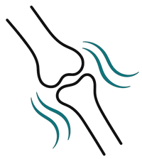 Promotes Strong Bones