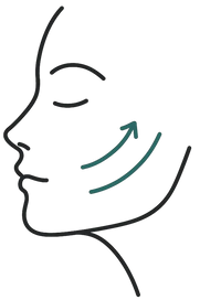 Supports Skin Elasticity